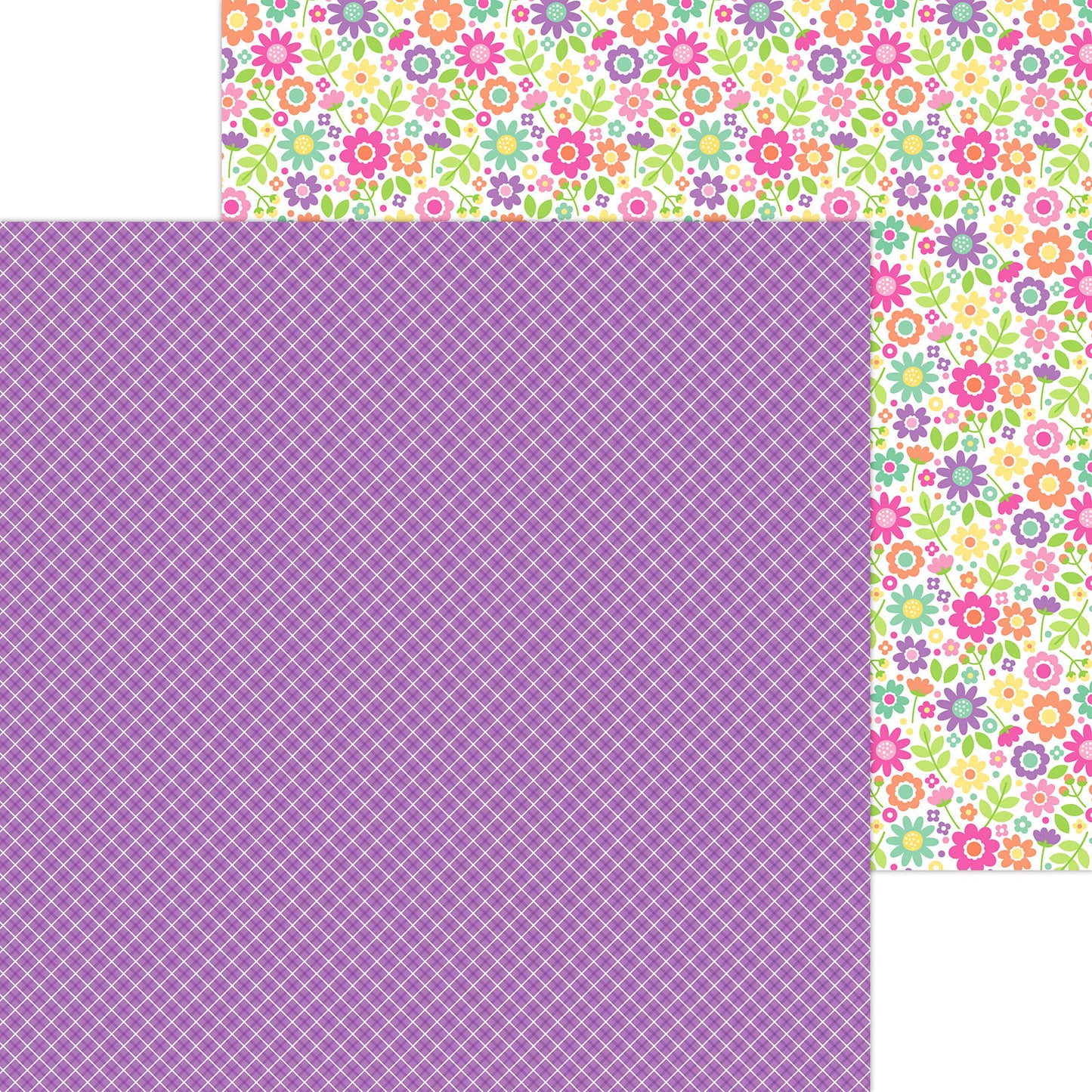 Color Me Crafty - 12x12 Plaid It's Purple