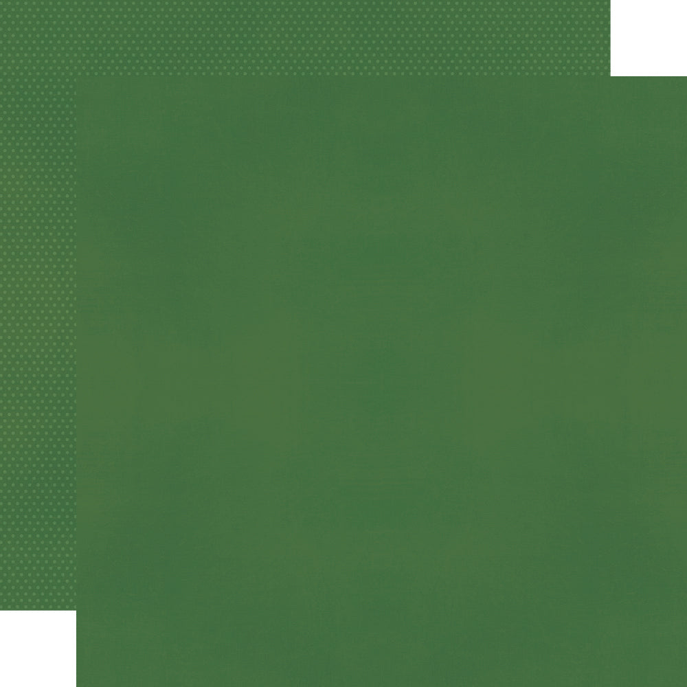 Color Vibe 12X12 Textured Cardstock - Pine