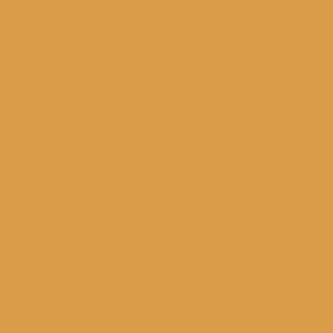 8.5x11 - Gold Rush - Classic *DISC*