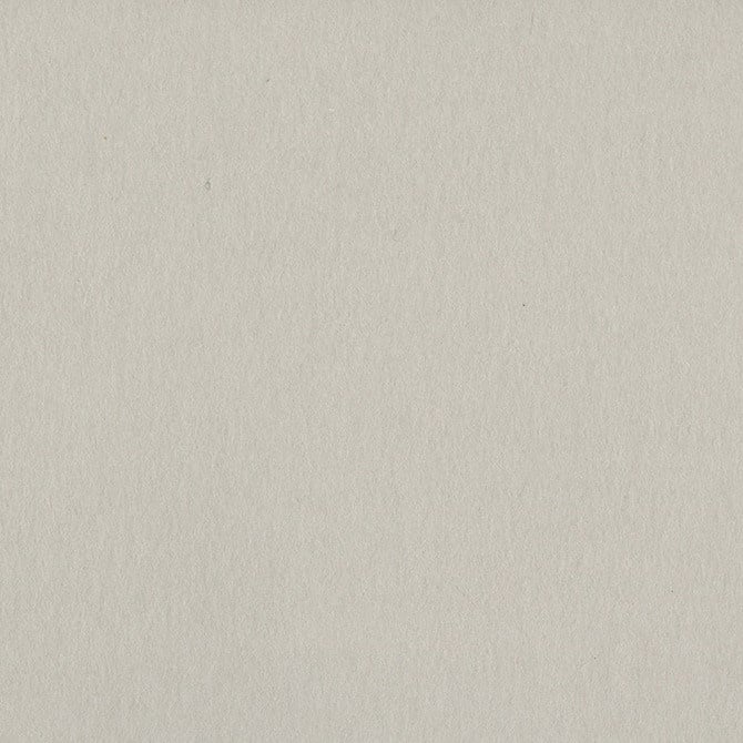 Bazzill Card Shoppe - 8.5x11 - Alpaca Cardstock