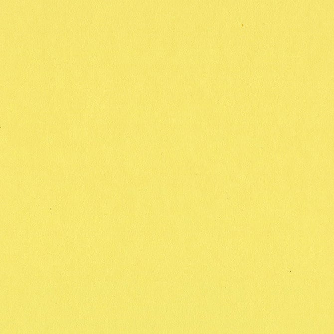 Bazzill Card Shoppe - 8.5x11 - Sour Lemon Cardstock