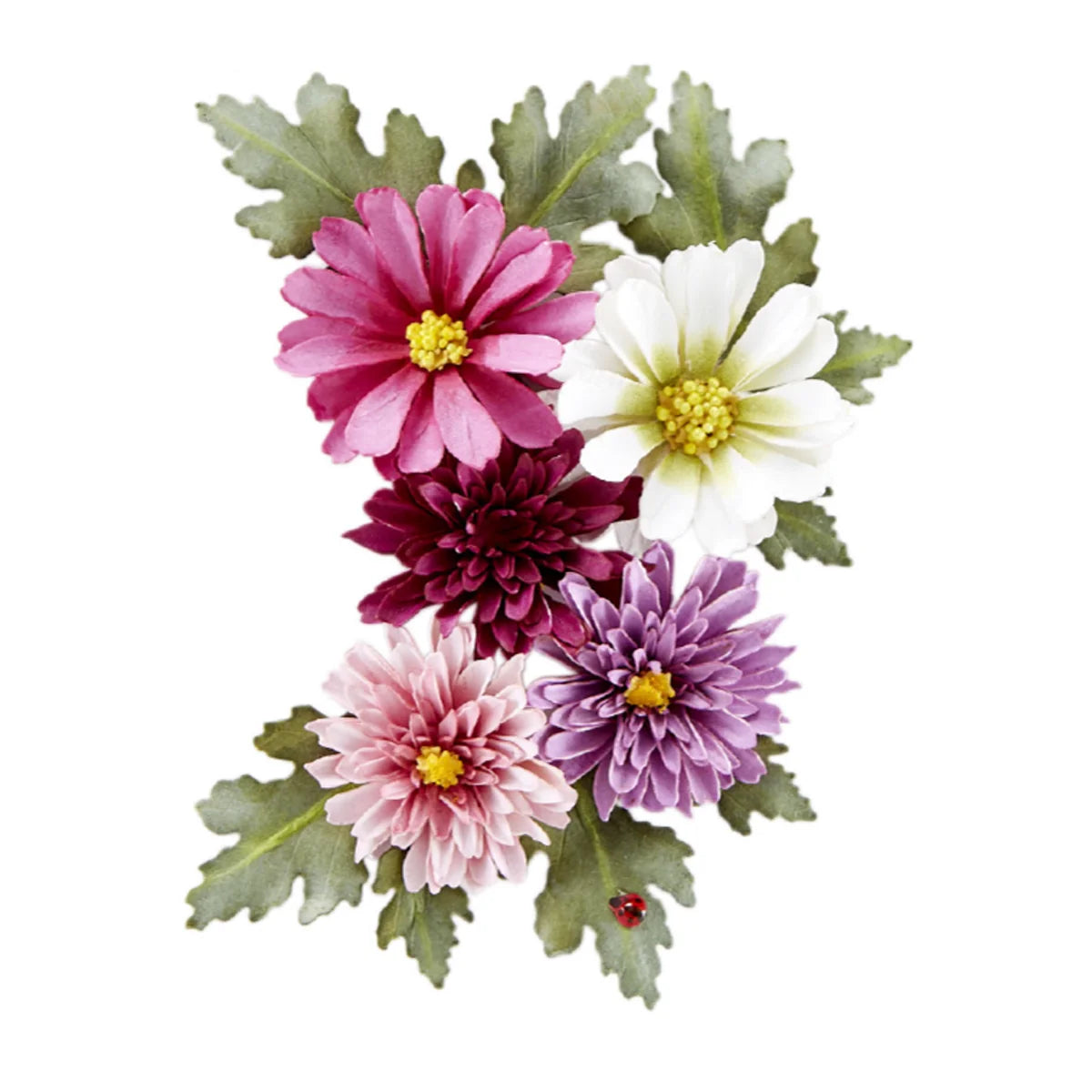 Button and Daisy Chrysanthemum by Susan Tierney-Cockburn - Die