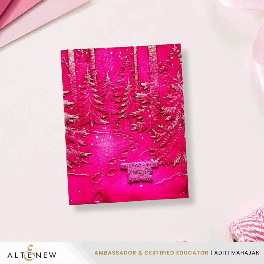 Snowy Footpath - 3D Embossing Folder
