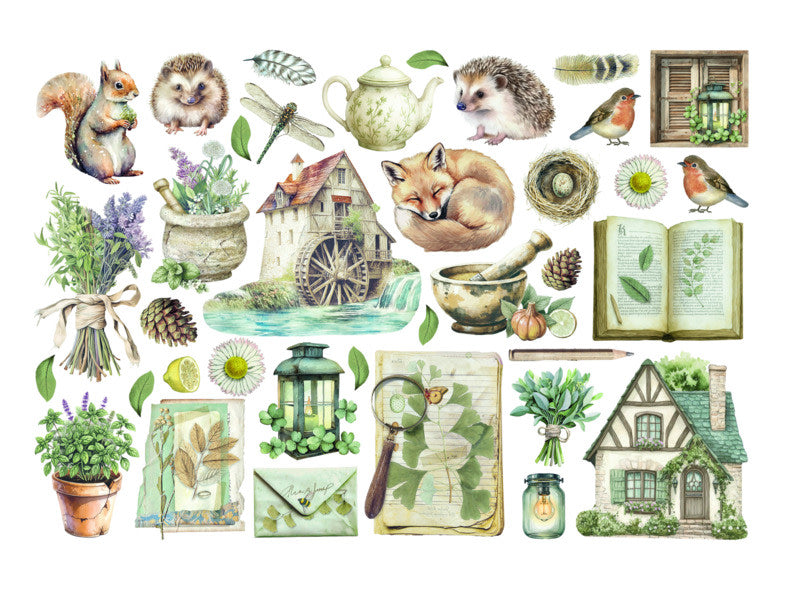 Herbarium Silvae - Ephemra