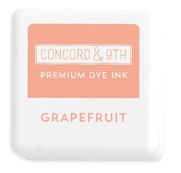 INK CUBE: Grapefruit