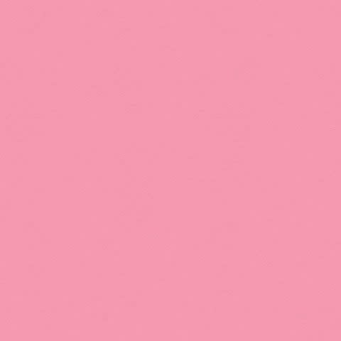 8.5x11 - Petal Pink - Classic *DISC*