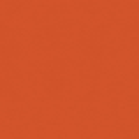 8.5x11 - Papaya - Classic *DISC*