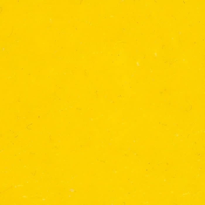 WOW! Embossing Powder - Primary Lemon Regular