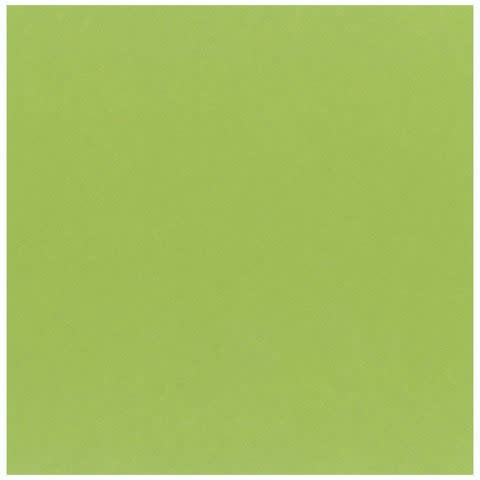 12x12 - Key Lime - Classic *DISC*