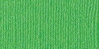 Bazzill Bling Cardstock - 12x12 - Bank Roll