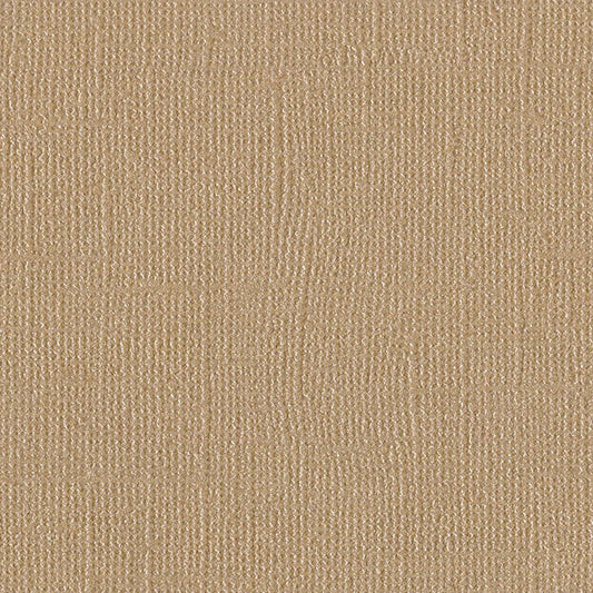 Bazzill Bling Cardstock - 12x12 - Blank Check