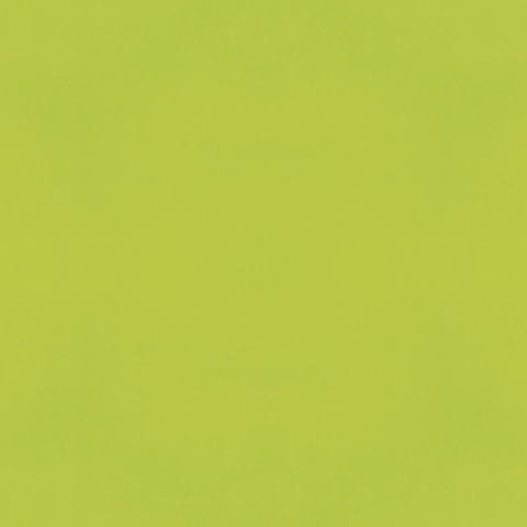 Color Vibe 12X12 Textured Cardstock  - Lime
