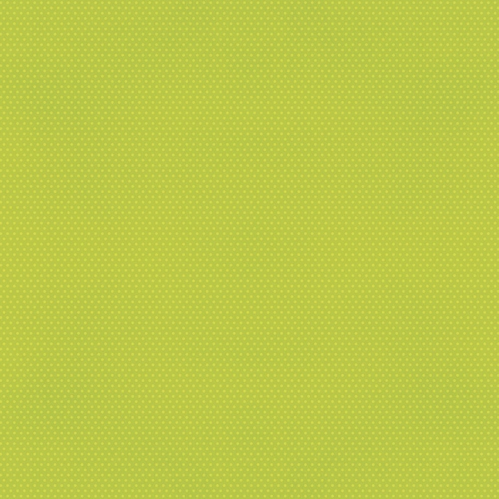 Color Vibe 12X12 Textured Cardstock  - Lime