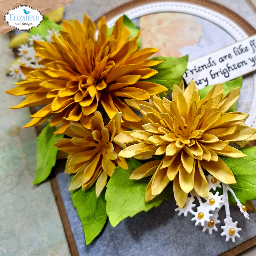 Dahlia - Dies