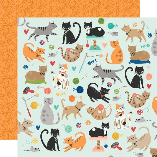 Fur Baby Cat - Here Kitty Kitty - 12X12 Pattern Paper*