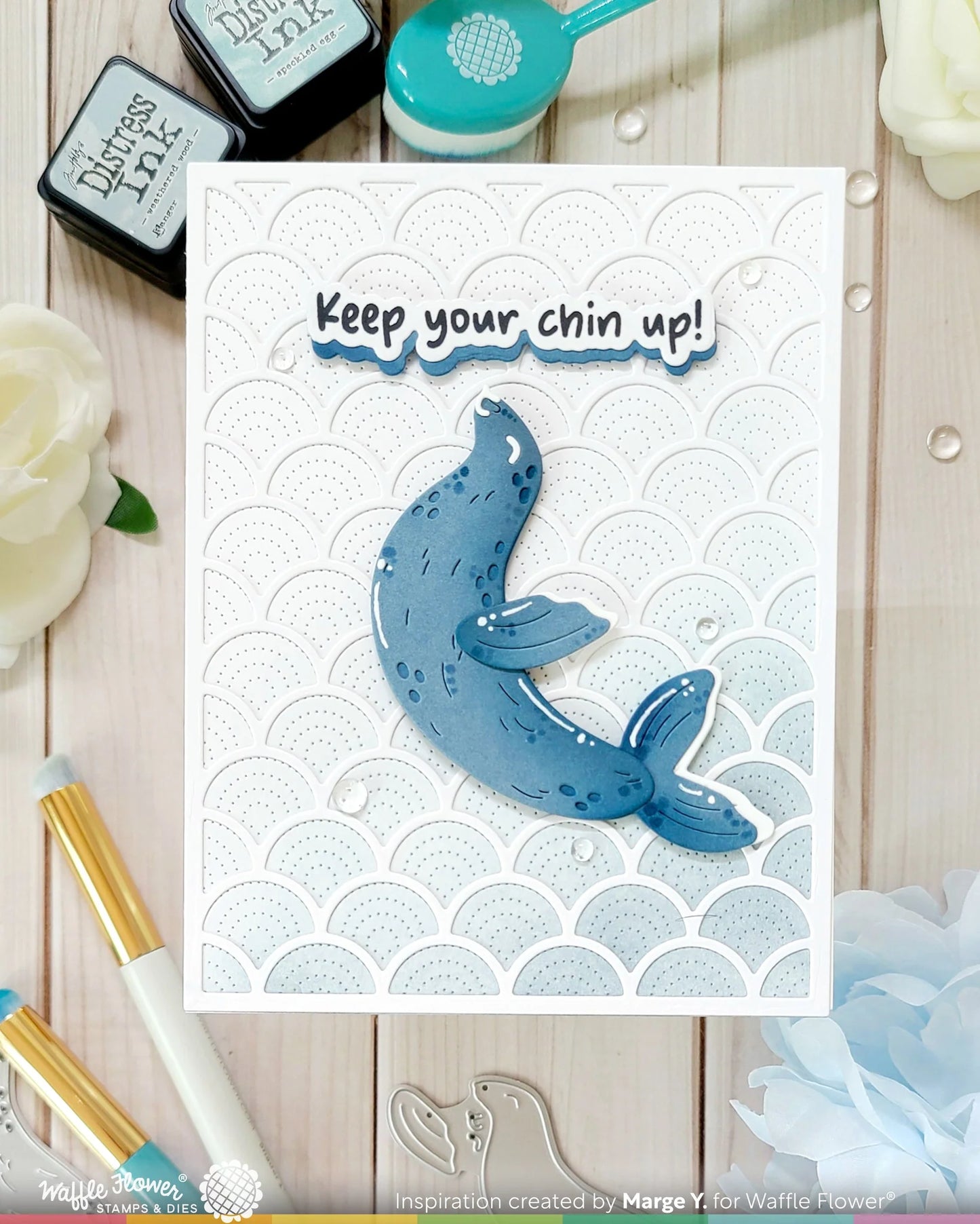 Happy Seals - Dies