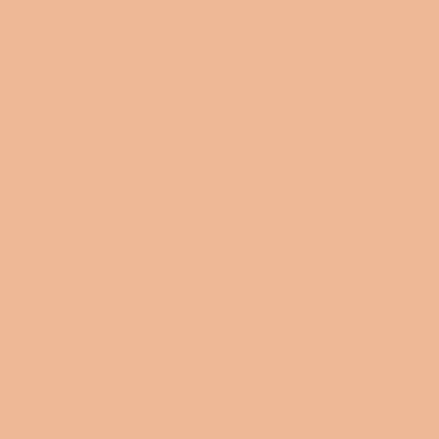 8.5x11 - Peach - Classic *DISC*