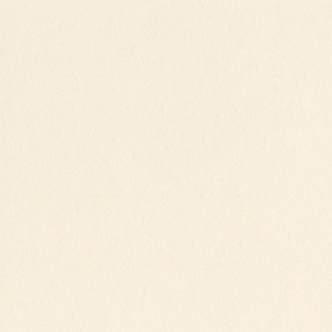 Bazzill Card Shoppe - 8.5x11 - Butter Mints Cardstock