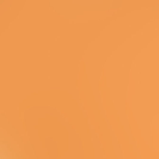 Bazzill Card Shoppe - 8.5x11 - Citrus Slice Cardstock