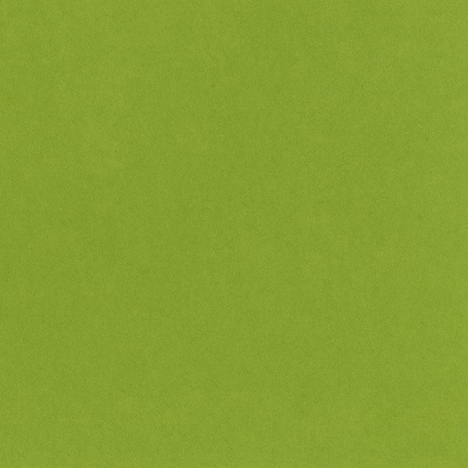 Bazzill Card Shoppe - 8.5x11 - Easter Grass Cardstock