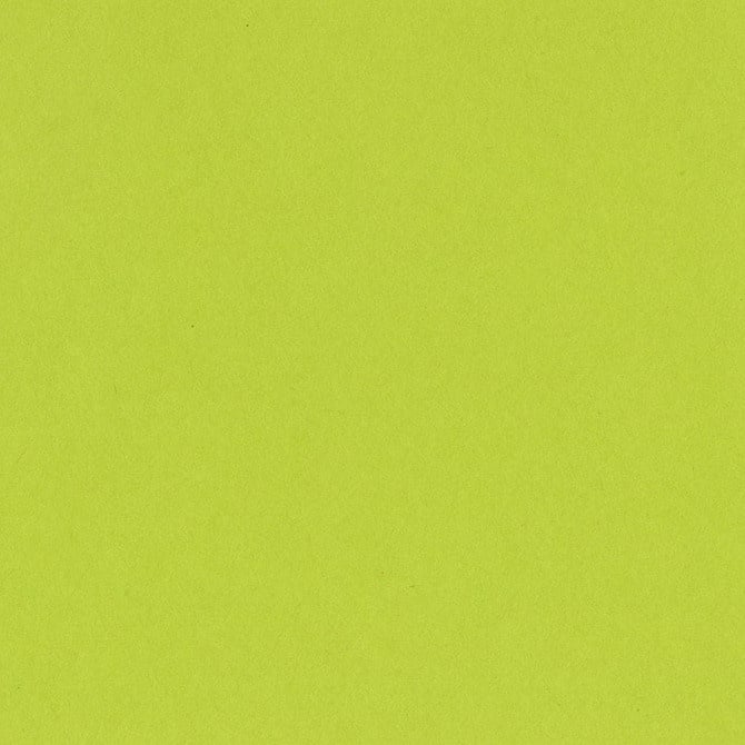 Bazzill Card Shoppe - 8.5x11 - Juicy Pear Cardstock