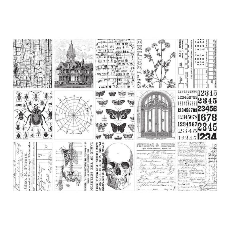Halloween Collage Paper by Tim Holtz Idea-ology