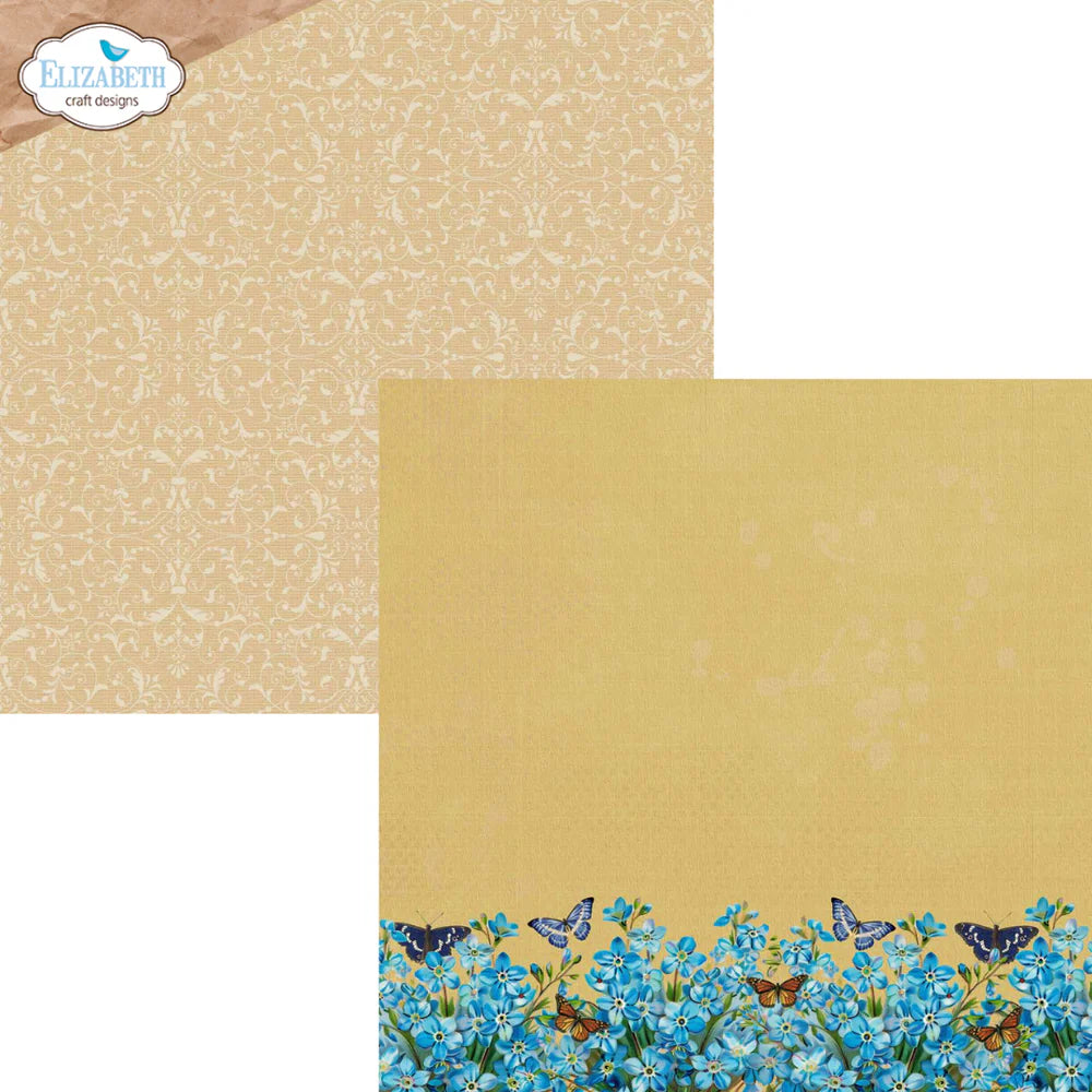 Delightful Discovery - 12x12 Collection