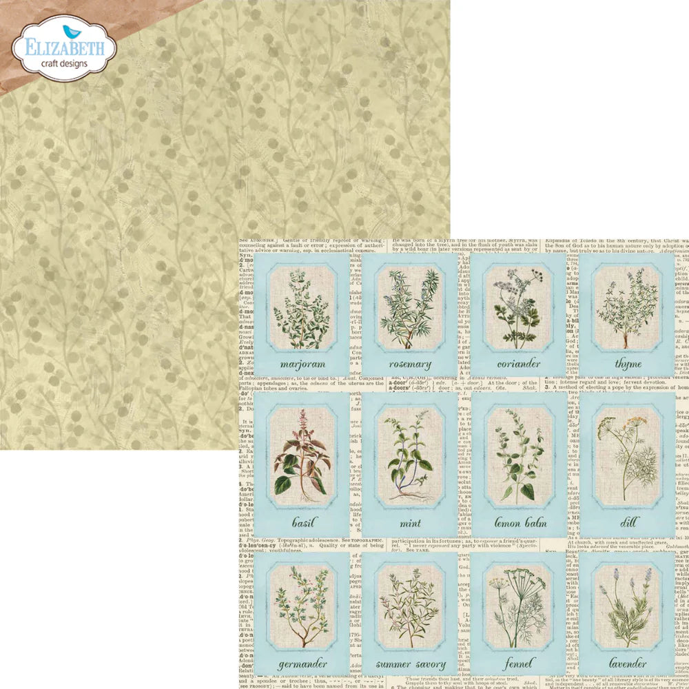 Delightful Discovery - 12x12 Collection