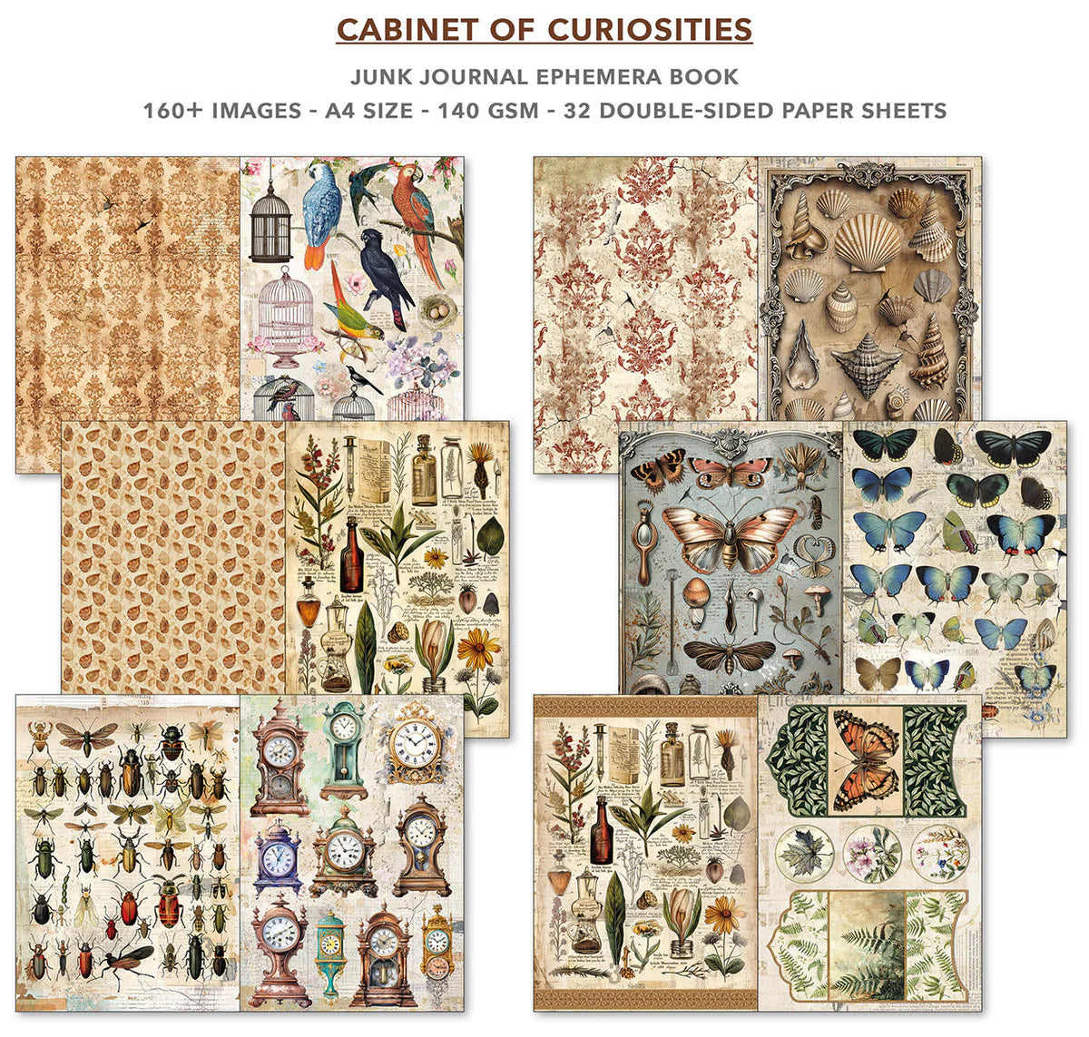 Cabinet Of Curiosities - Junk Journal & Ephemera Book