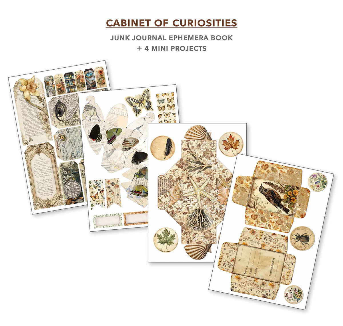 Cabinet Of Curiosities - Junk Journal & Ephemera Book