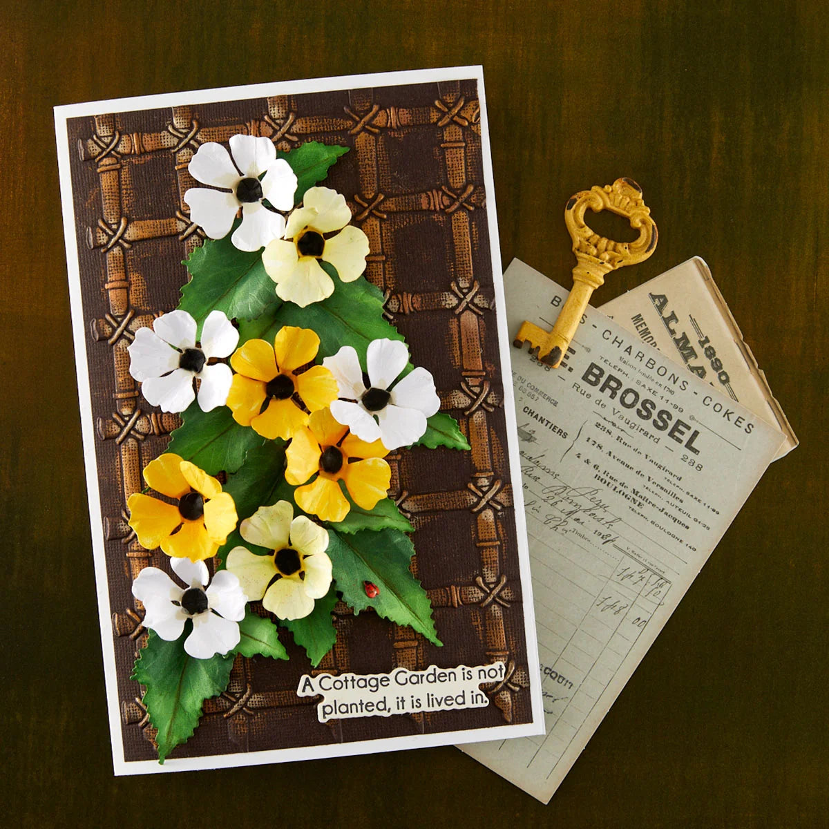 Black Eye Susan by Susan Tierney-Cockburn - Die