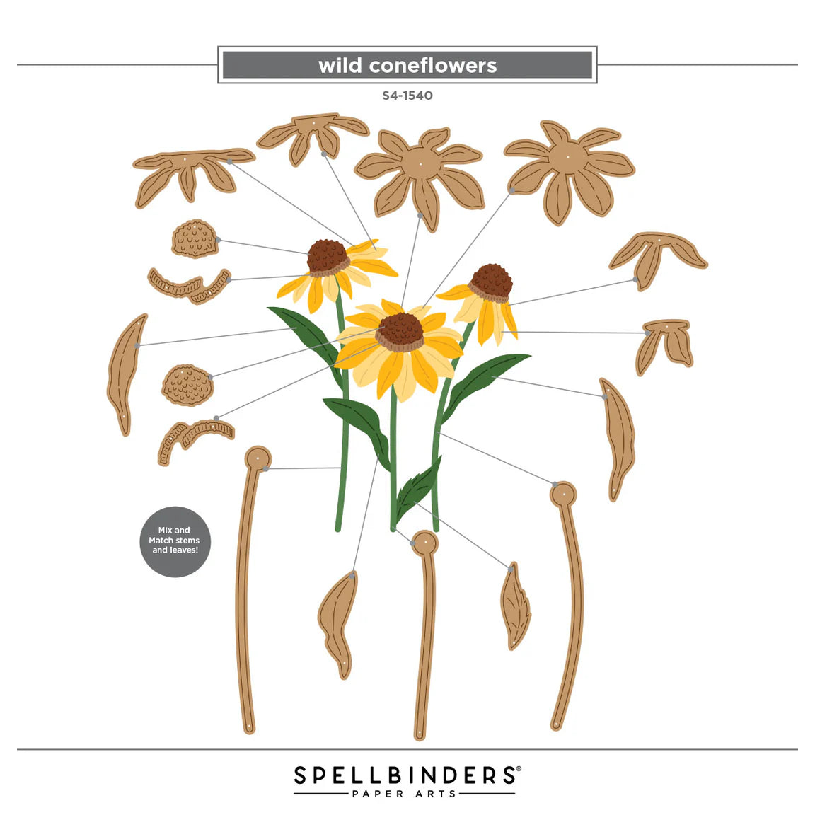 Cascading Coneflowers - I Want It All Bundle