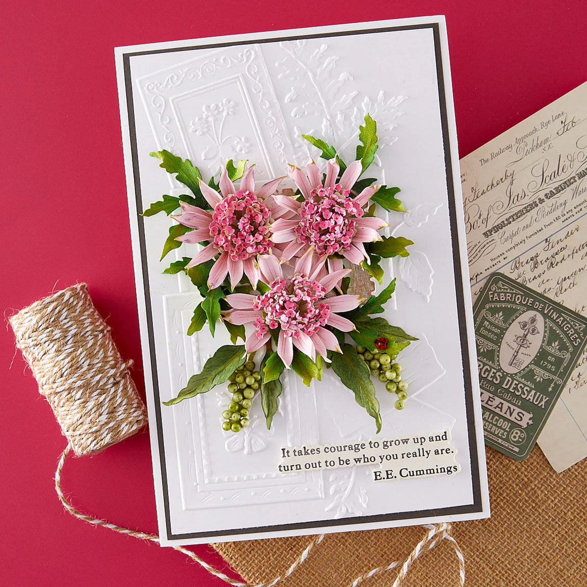 Astrantia - Die