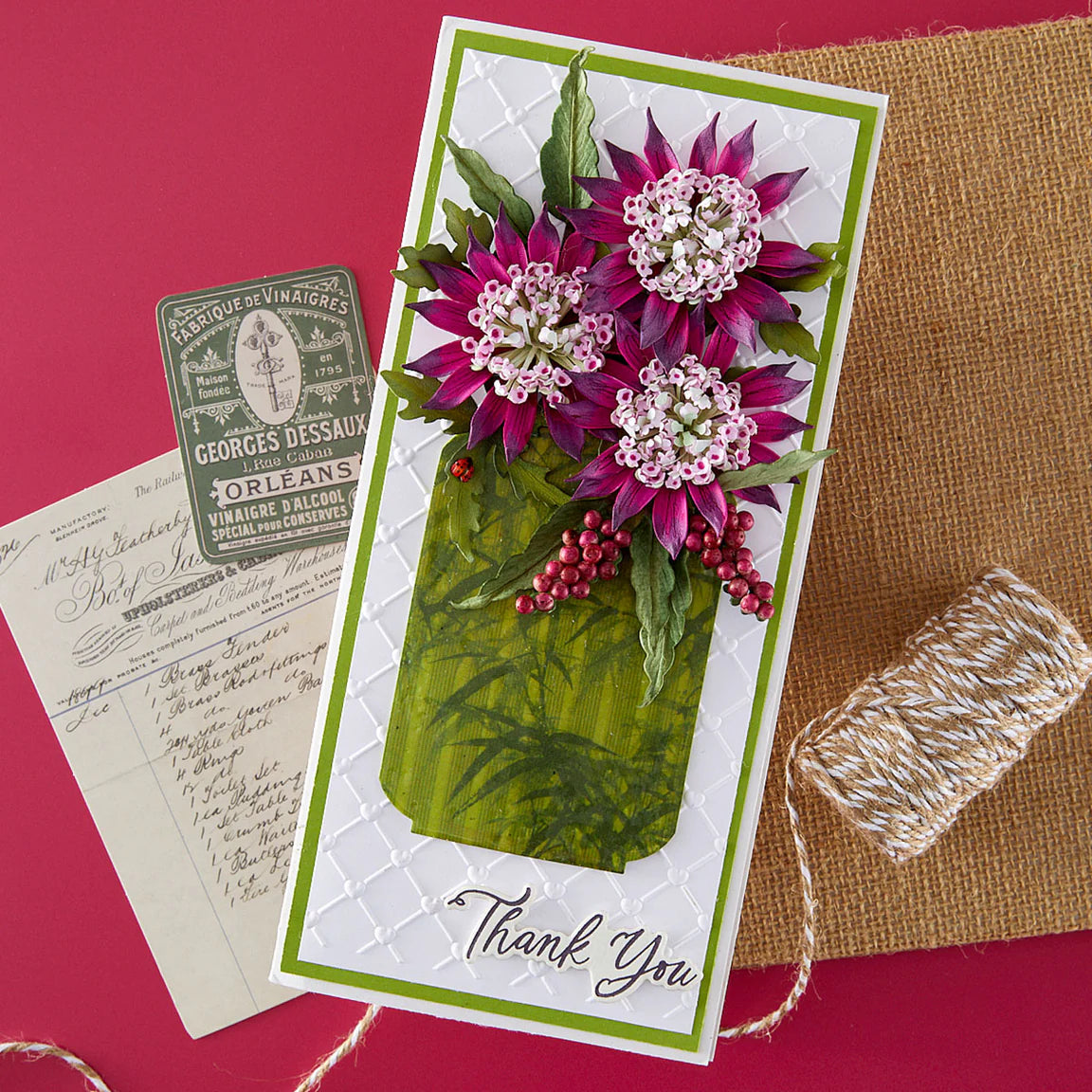Astrantia - Die