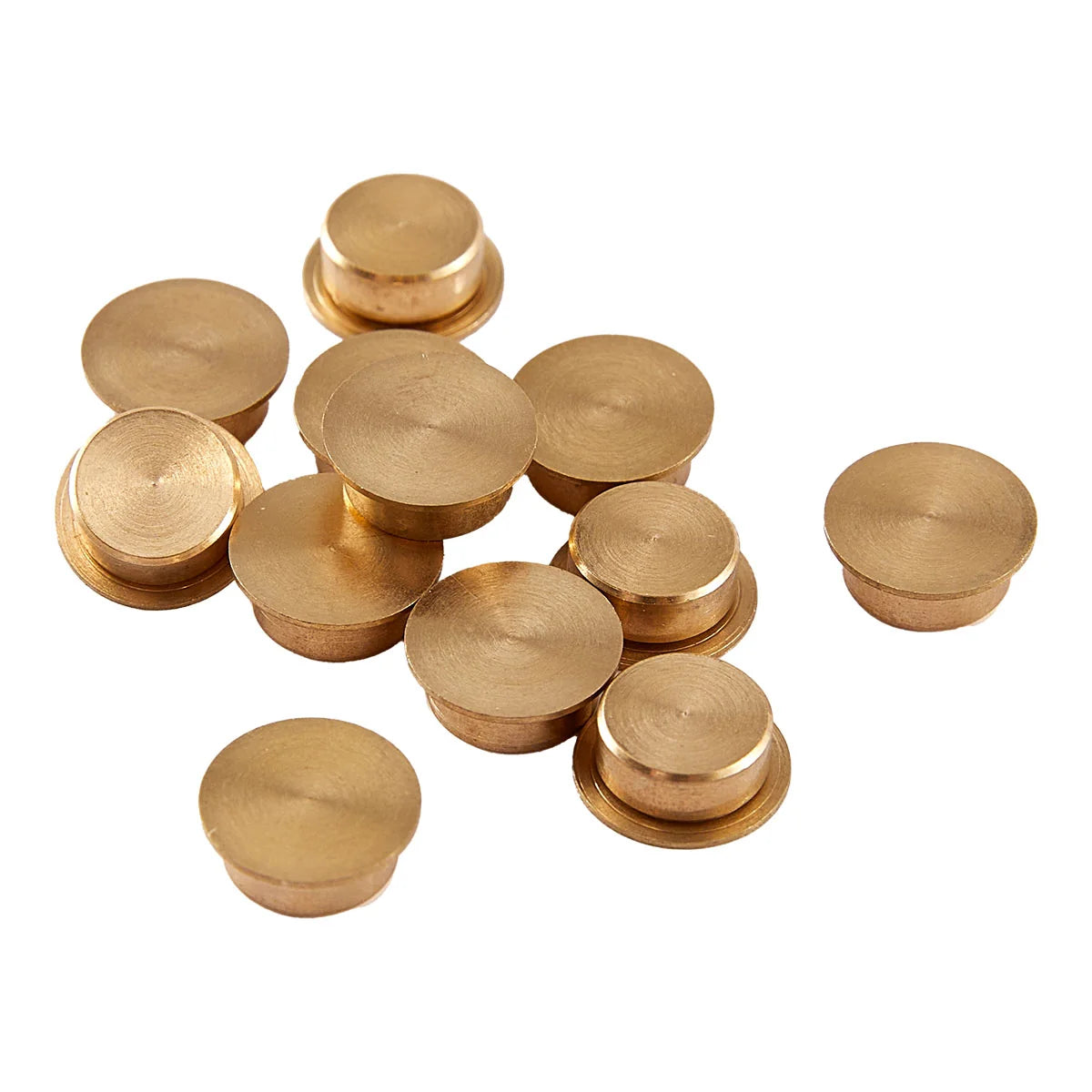 Card Spinners - 12 Pack - Large