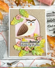 Real Hoot Sentiments - Combo