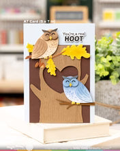 Real Hoot Sentiments - Combo