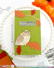 Real Hoot Sentiments - Combo