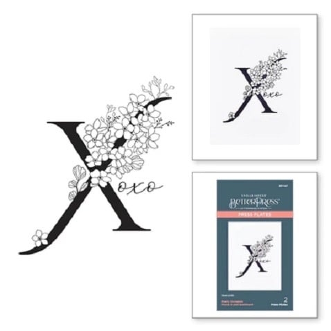 Everyday Occasion Floral Alphabet Collection - Floral X and Sentiment - Press Plates