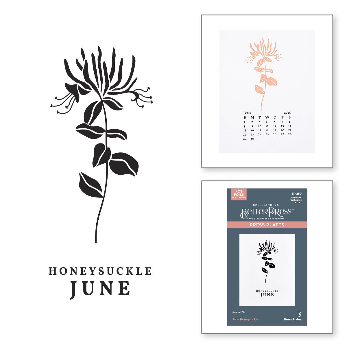 Florals Through the Year - June - Honeysuckle - Press Plates