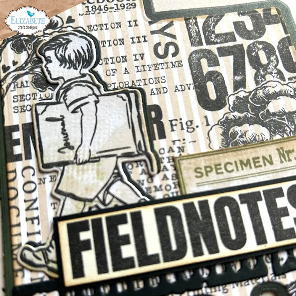 Field Notes - Stamps and Die