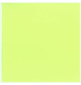 12x12 - Kiwi - Classic *DISC*