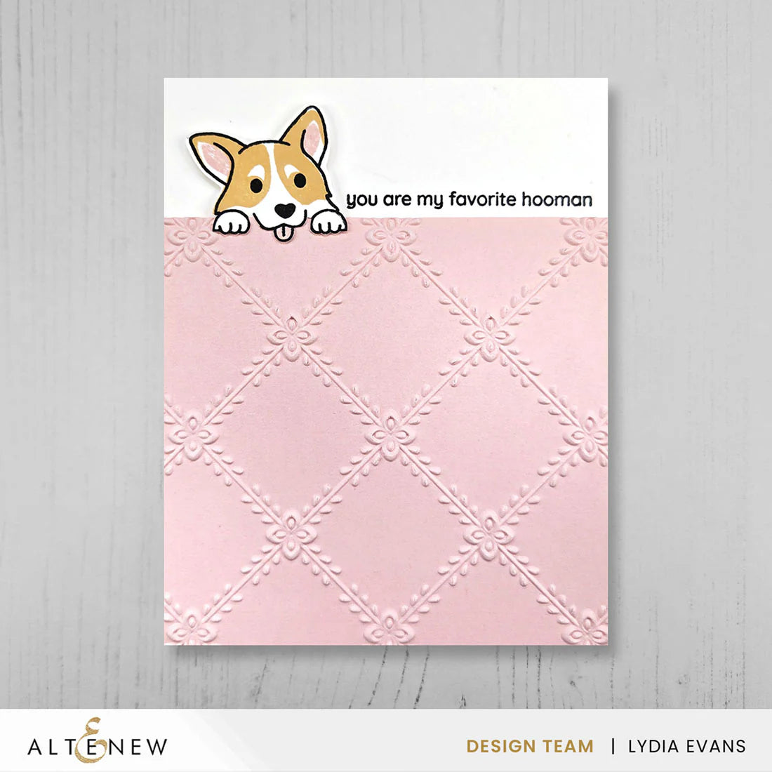 Crisscross Blooms - 3D Embossing Folder