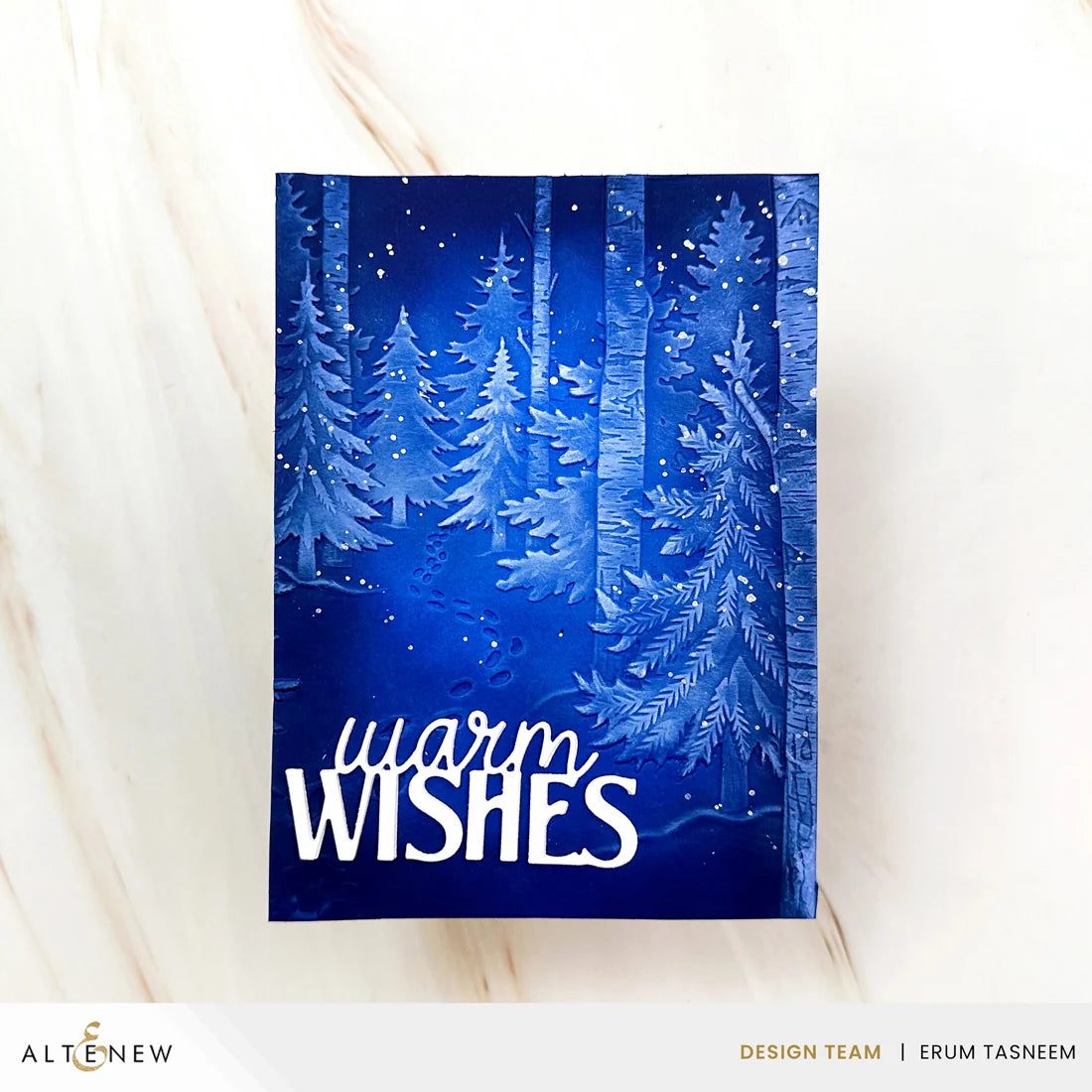 Snowy Footpath - 3D Embossing Folder