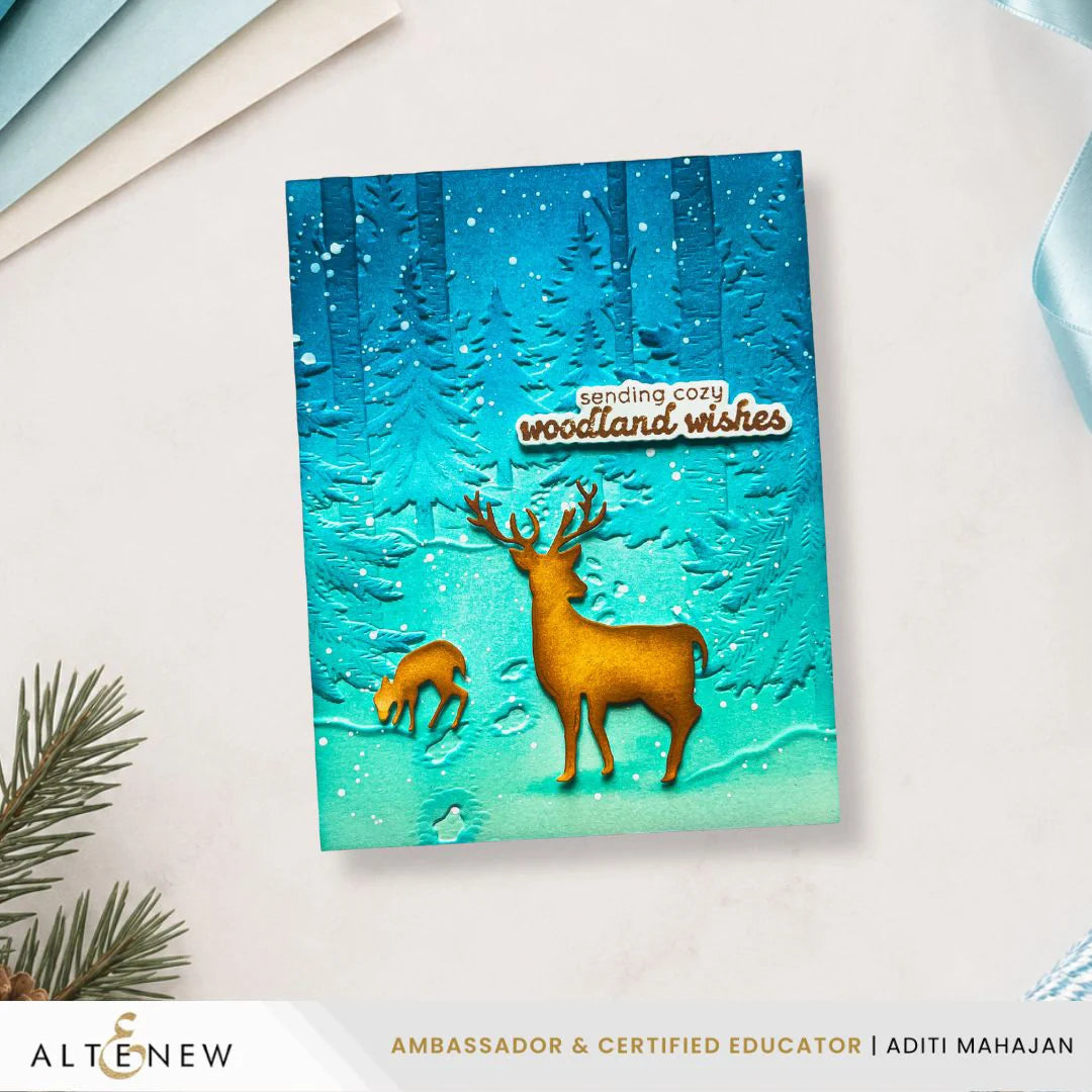 Snowy Footpath - 3D Embossing Folder