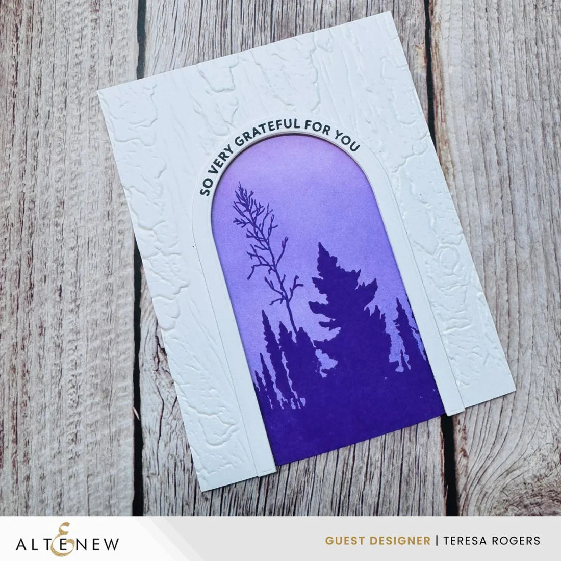 Weathered Bark - 3D Embossing Folder