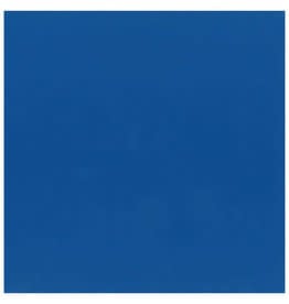 12x12 - Blueberry - Classic  *DISC*