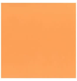 12x12 - Orange Sherbet - Classic *DISC*