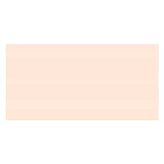 Copic Sketch Marker - Barley Beige E11