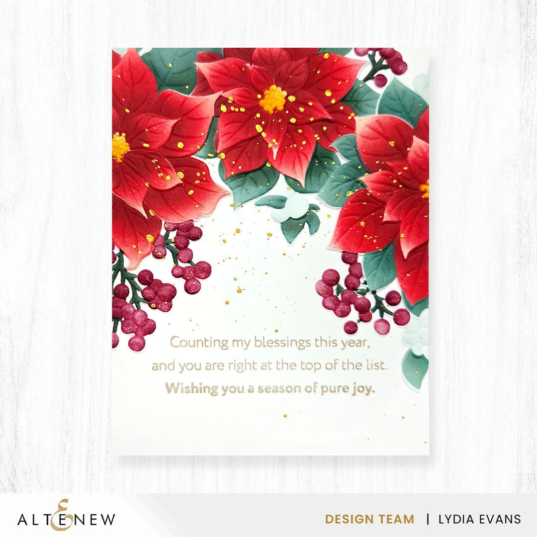 Winterberry Poinsettias - Bundle
